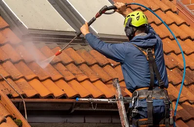 Démoussage et hydrofuge de toiture à Baladou